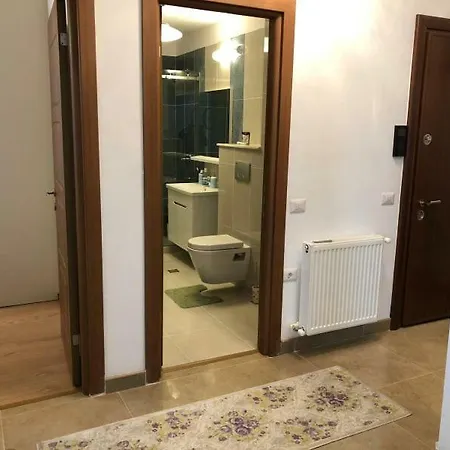 Anelis Solid * Mamaia